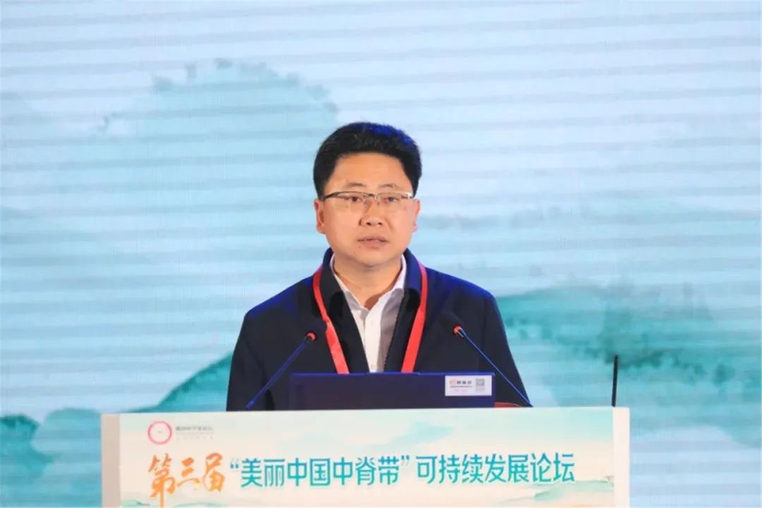 中脊带2.jpg