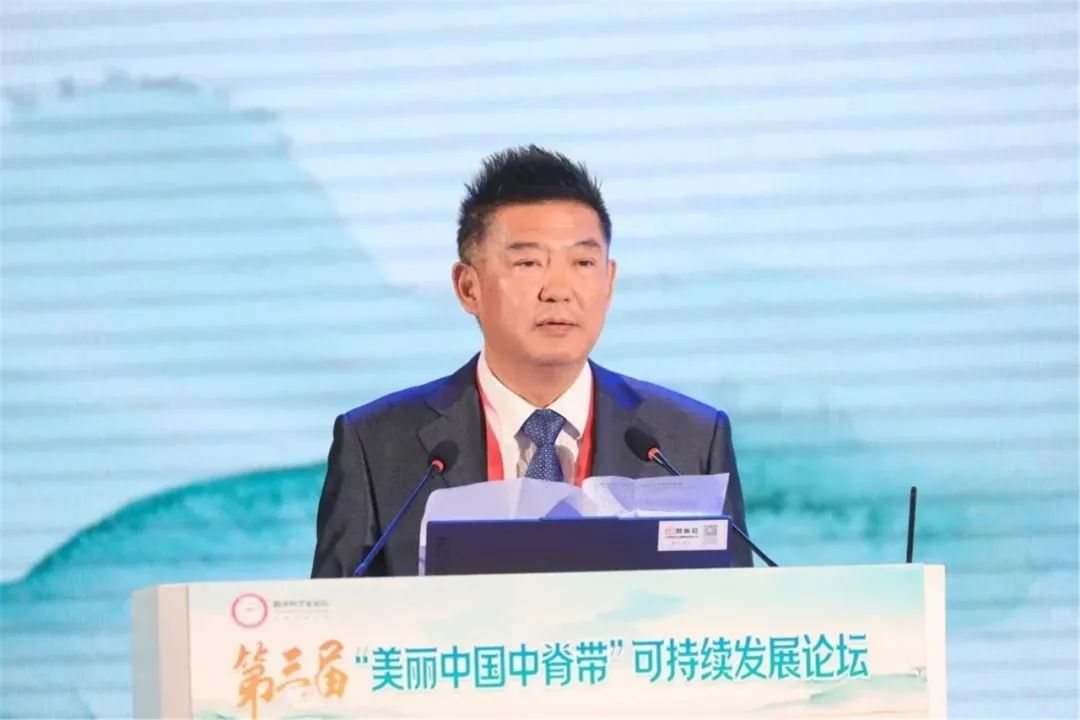 中脊带3.jpg