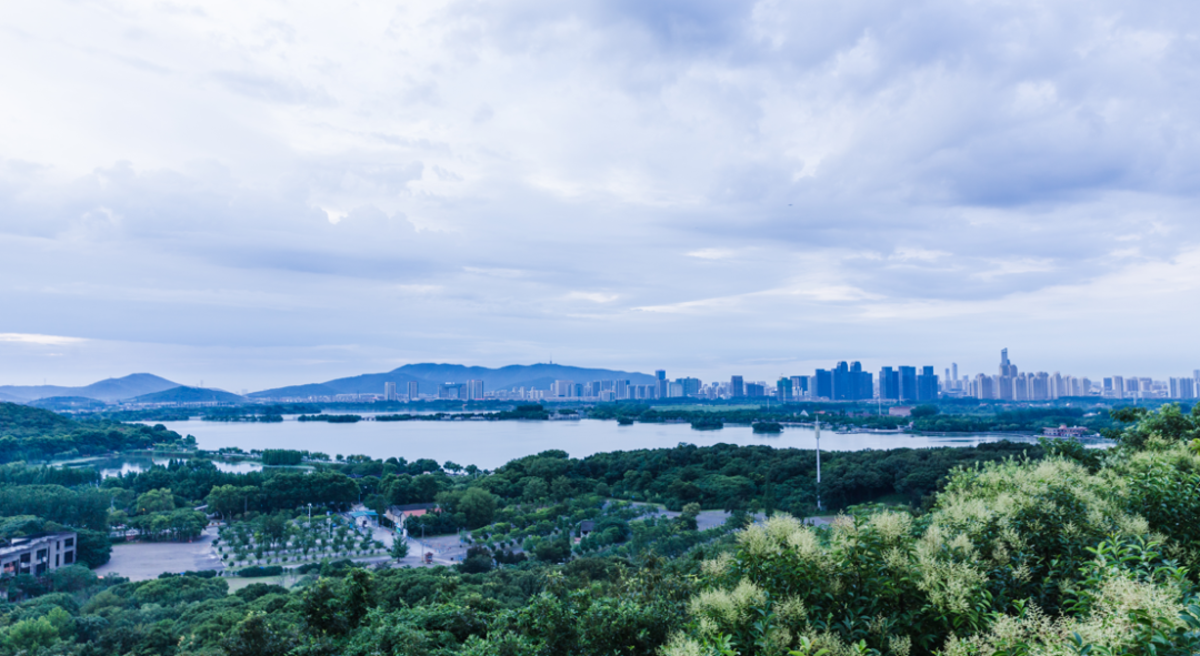 城市更新1.png