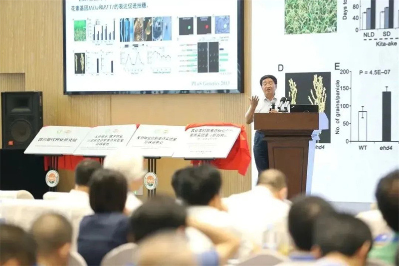 11-中国工程院院士 万建民.jpg